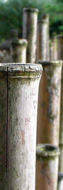 garten_geomantie