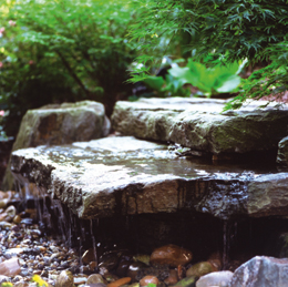 garten_wasser